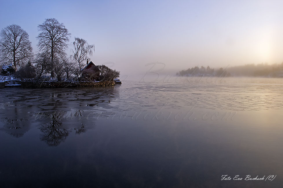 Foto av Eva Bucksch